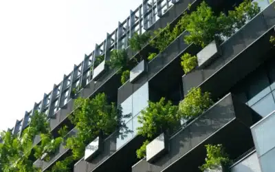 Arquitectura sostenible: cómo diseñar viviendas eficientes y confortables