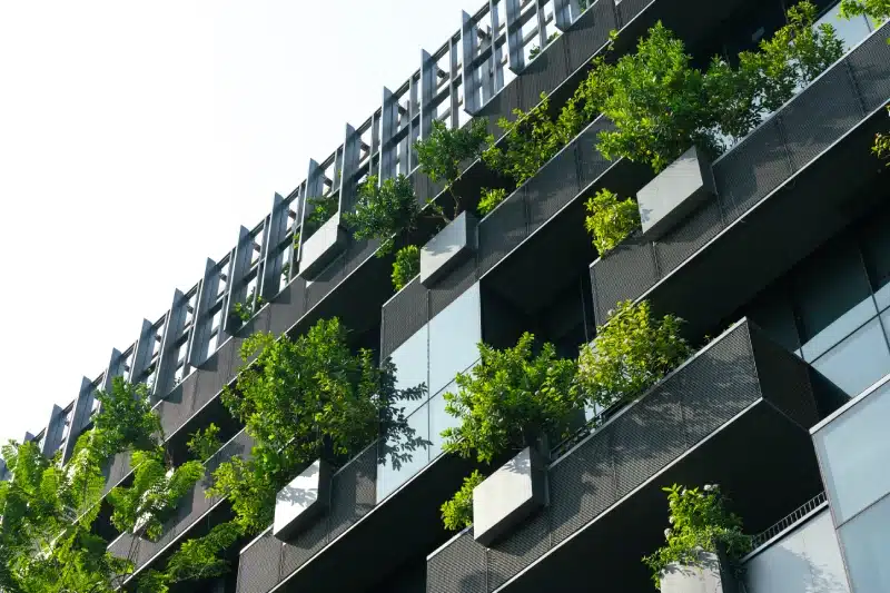Arquitectura sostenible: cómo diseñar viviendas eficientes y confortables